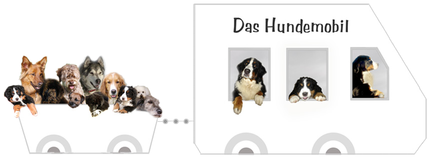 das-hundemobil.de