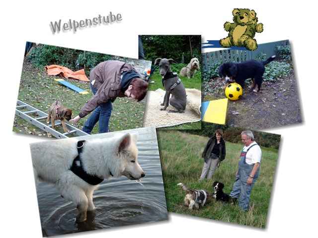 Welpenstube